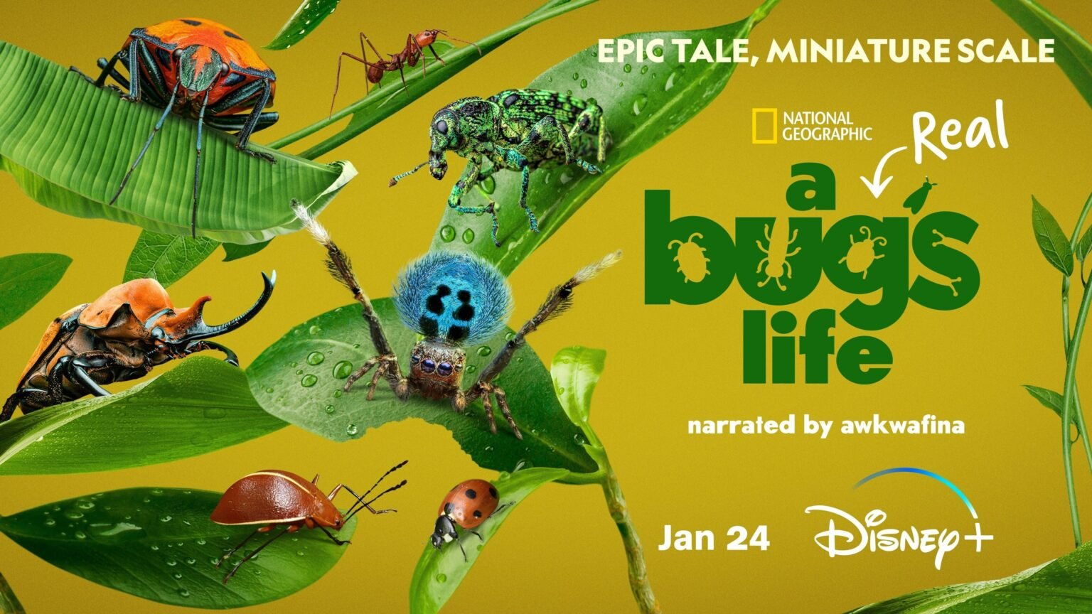 A Real Bug's Life / © Disney+ / National Geographic