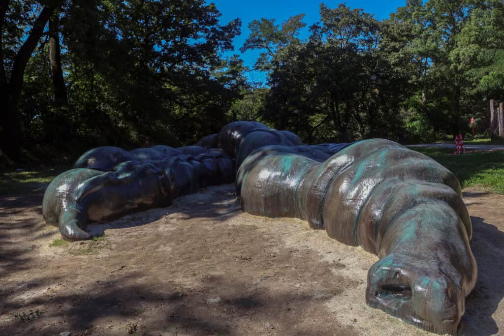 Črevo / Zdroj foto: ZOO Bratislava